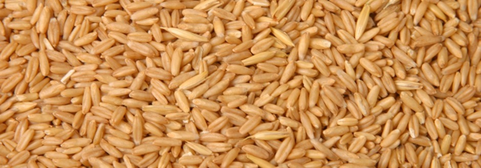 Hulled oats
